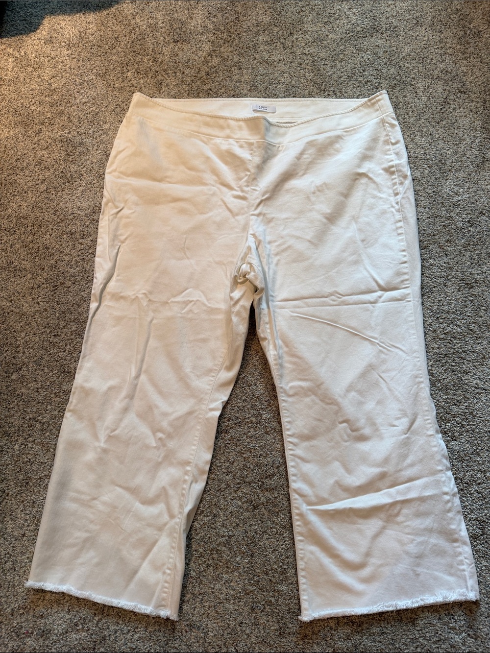 LOFT Women's Cream Stretch Pull-On Pants -